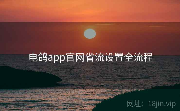 电鸽app官网省流设置全流程