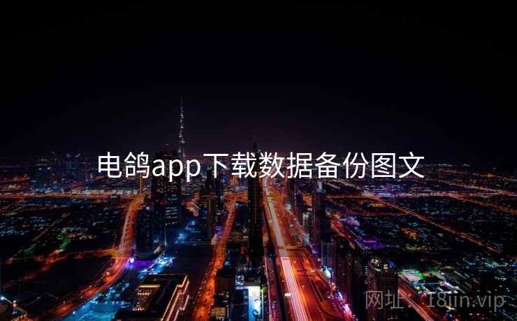 电鸽app下载数据备份图文