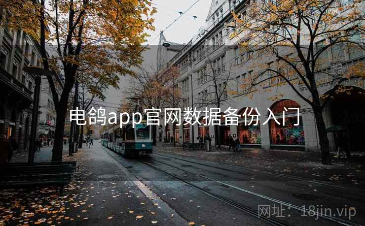 电鸽app官网数据备份入门